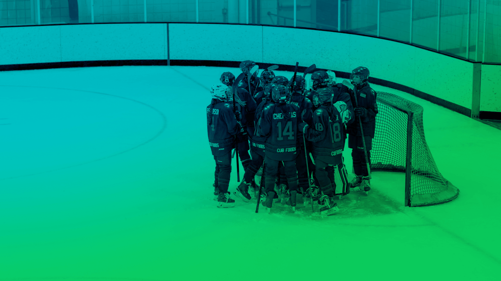 Youth Hockey